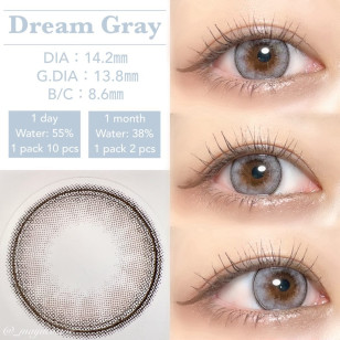 MOLAK 1day Dream Gray モラクワンデー ドリームグレー